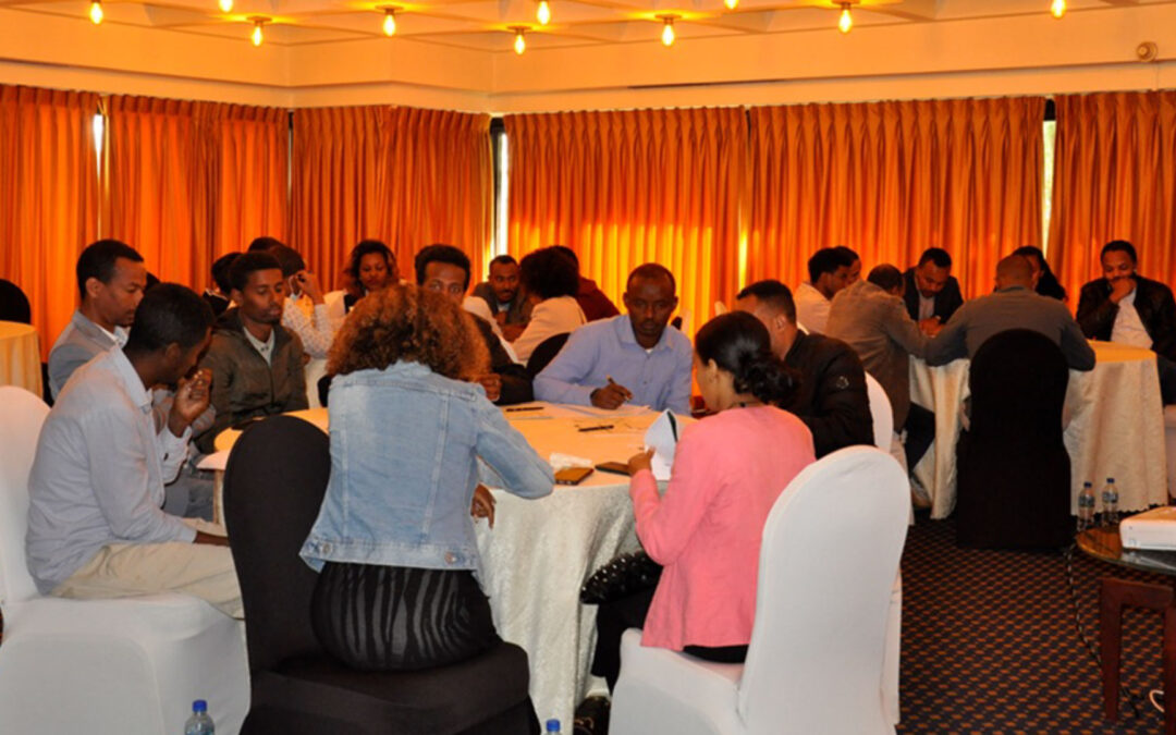 AAU Holds a Roundtable Discussion with Media on SDG Issues in Ethiopia